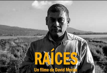 Cartel de Raíces, un filme de David Morán